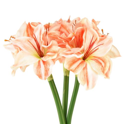 daiktų Dirbtinė Riterio Žvaigždė Dirbtinės gėlės Baltos Raudonos Oranžinės Amarilis 40cm 3vnt.