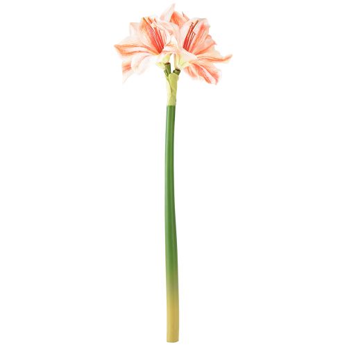daiktų Dirbtinė Riterio Žvaigždė Dirbtinės gėlės Baltos Raudonos Oranžinės Amarilis 40cm 3vnt.