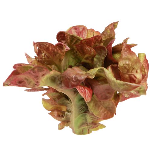 daiktų Dirbtinės salotos Lollo Rosso dekoratyvinės salotos galvutės Ø20cm