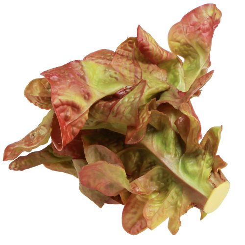 daiktų Dirbtinės salotos Lollo Rosso dekoratyvinės salotos galvutės Ø20cm