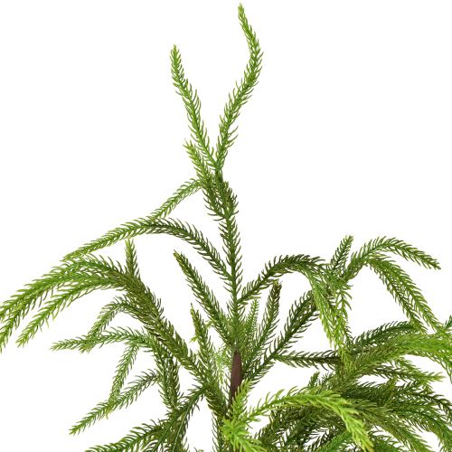 daiktų Dirbtinė eglutė vazonėlyje Mini dirbtinis spygliuočiai 68cm