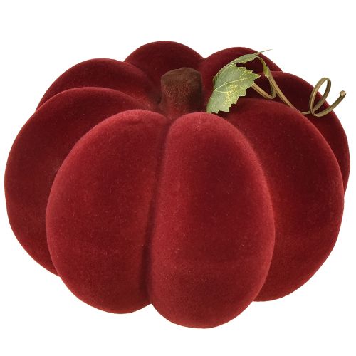 Floristik24 Moliūgų dekoravimas flokuotas moliūgas raudonas bordo aksominis vaizdas 20cm 2vnt