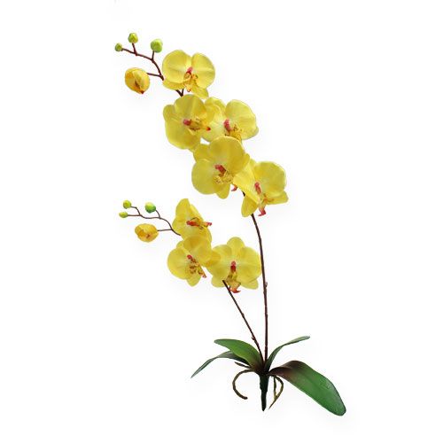 Floristik24 Dirbtinė orchidėja geltona 68cm