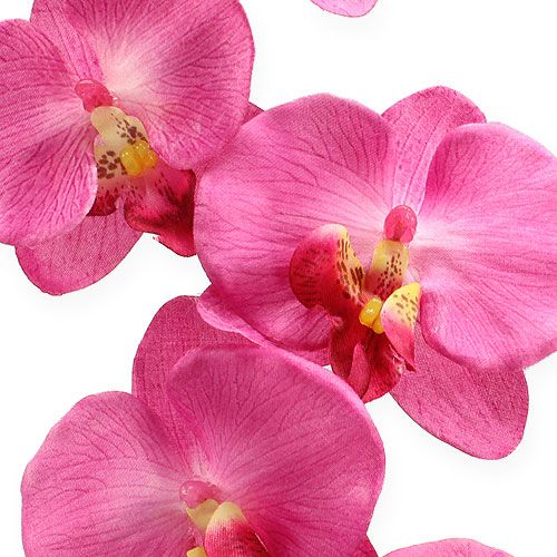 Floristik24 Dirbtinė orchidėja su lapeliais Rožinė 68cm