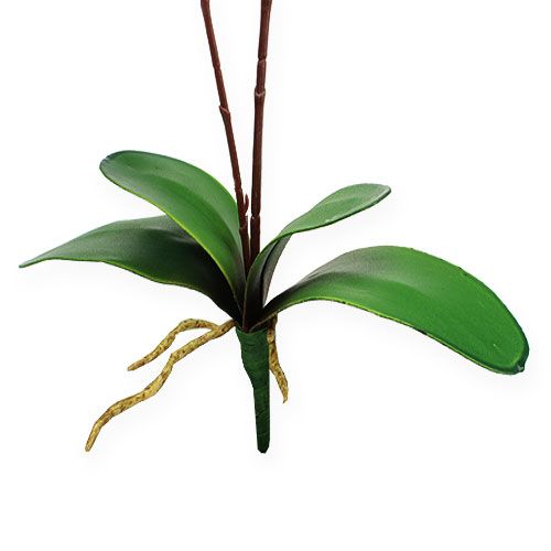 Floristik24 Dirbtinė orchidėja su lapeliais Rožinė 68cm