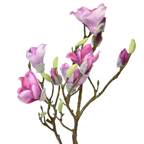 Floristik24 Dirbtinė gėlė magnolijos šakelė, magnolijos rausva 92cm