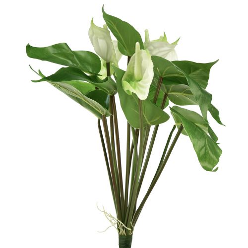 Floristik24 Dirbtinės gėlės, flamingo gėlė, dirbtinis anturio baltas 36cm