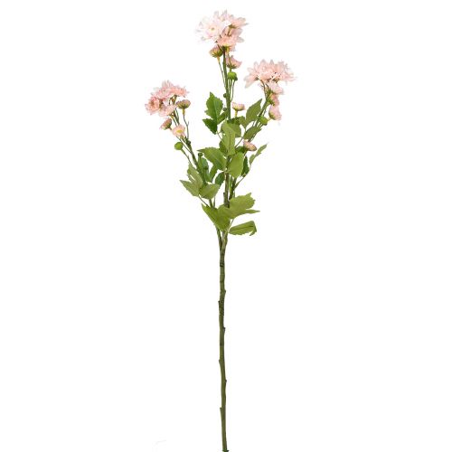daiktų Dirbtinės Gėlės Dirbtinės Astras Šilkinės Gėlės Rožinės 80cm