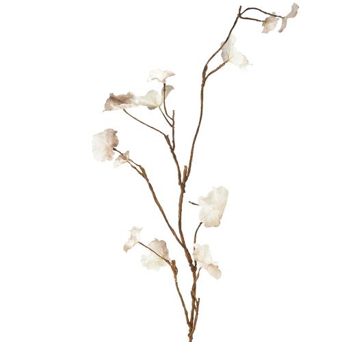 Floristik24 Dirbtinis rudeninis Heuchera Branch kremas dirbtinis rudas L85cm