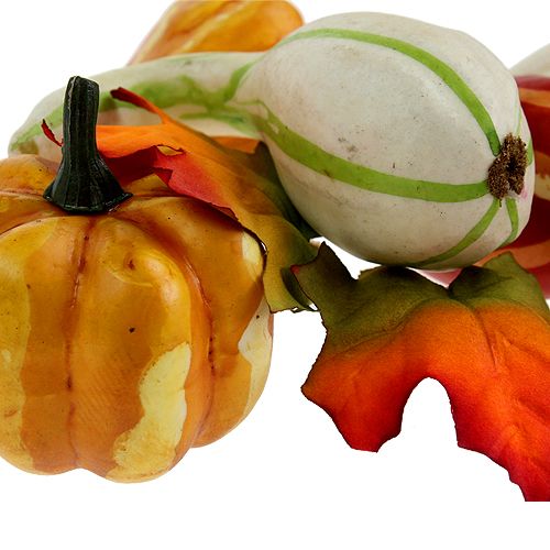 Moliūgų mišinys spalvotas 12vnt | Floristik24.lt