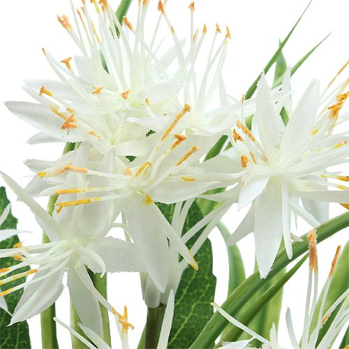 Floristik24 Dekoratyvinė puokštė balta 28cm