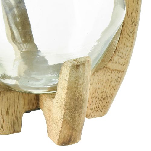 daiktų Žibinto medžio stiklo žibintas dekoratyvinis mango medis natūralus Ø14cm H26cm