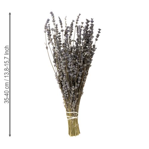 daiktų Levandų džiovintos kvapnios džiovintos gėlės 35-40 cm 50 g