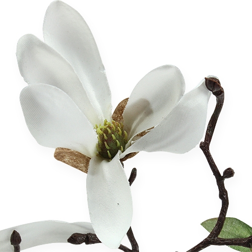 Floristik24 Dekoratyvinė šakelė magnolija 40cm balta 4vnt