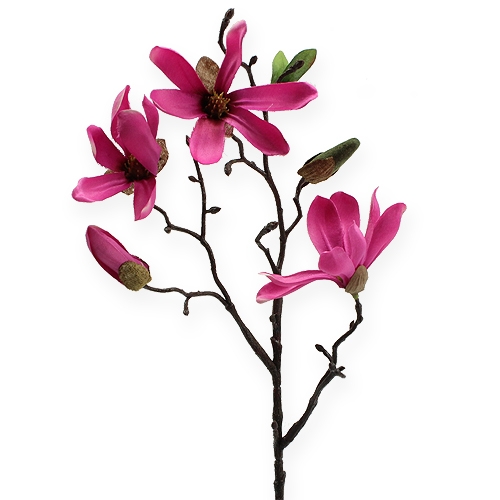 Floristik24 Magnolijos šakelė rožinė 45cm 4vnt