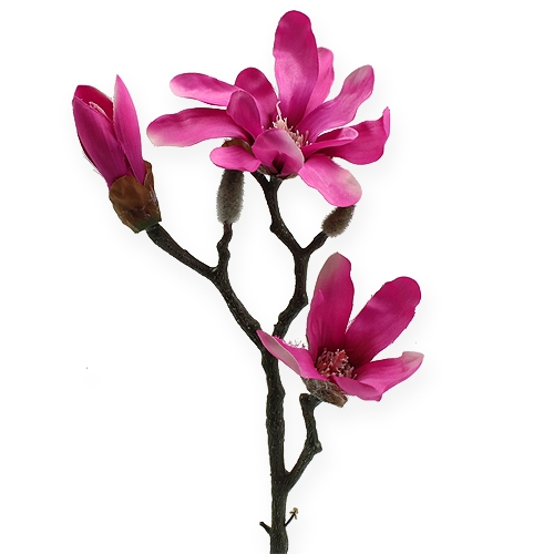 Floristik24 Magnolijos šakelė 45cm 3vnt