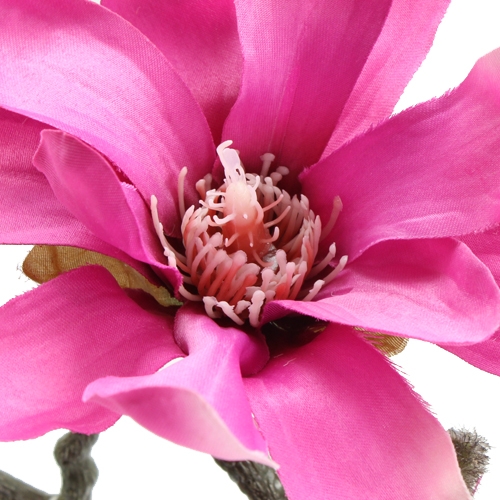 Floristik24 Magnolijos šakelė 45cm 3vnt