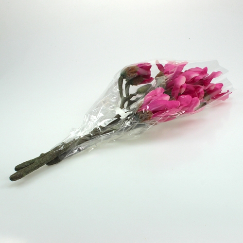 Floristik24 Magnolijos šakelė 45cm 3vnt