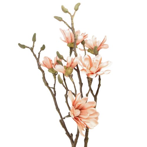 Floristik24 Magnolijos šakelė su 6 žiedais Magnolijos dirbtinė lašiša 84cm