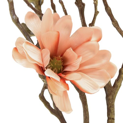Floristik24 Magnolijos šakelė su 6 žiedais Magnolijos dirbtinė lašiša 84cm