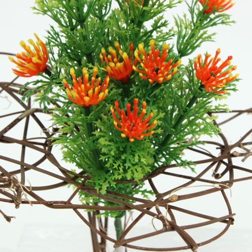 Floristik24 Vynmedžio manžetė Ø15cm 8vnt