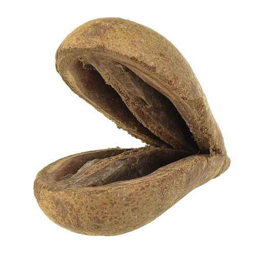 Floristik24 Mike Fruit Natural Materials Bagon Fruit Natural 8cm 50 vnt