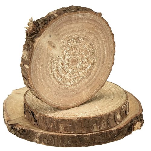 daiktų Mini mediniai diskai dekoratyviniai medžių diskai natūralūs Ø3-6cm 600g