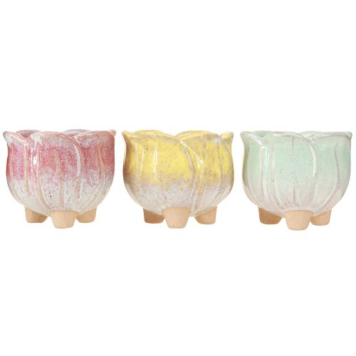 daiktų Mini sėjamoji keraminė vazoninė gėlė Ø8cm H7cm 3vnt