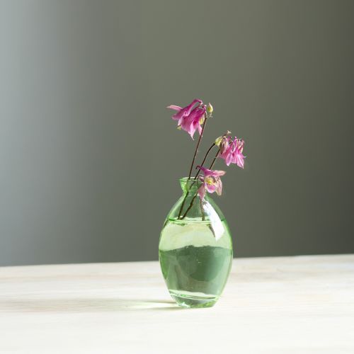 Floristik24 Mini stiklinės svogūninės stiklinės vazos, žaliai tonuotos, aukštis 12 cm, 6 vnt.