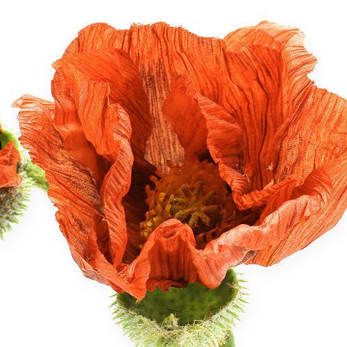 Floristik24 Aguonos apelsinas 67cm 2vnt