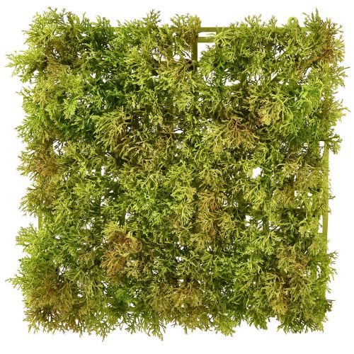 daiktų Dirbtinis samanų kilimėlis – puikiai tinka samanų paveikslui šviesiai žaliai 25×25cm