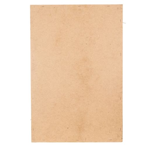 daiktų Samanų paveikslas, tikros konservuotos samanos ir šakelės, natūralios, 60 × 40 cm