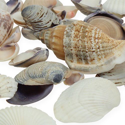 daiktų Natūralus midijų mišinys 400g