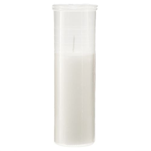 Užpildomos žvakės kapo žibintams baltos 84h H17cm 5 vnt