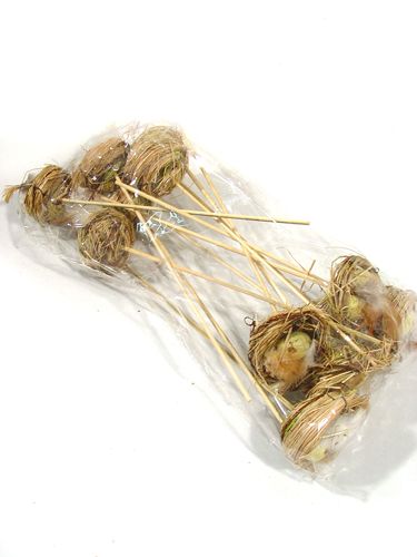 Floristik24 Paukščių lizdas su kiaušiniais ant pagaliuko 6cm 6vnt