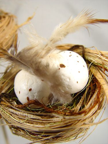 Floristik24 Paukščių lizdas su kiaušiniais ant pagaliuko 6cm 6vnt