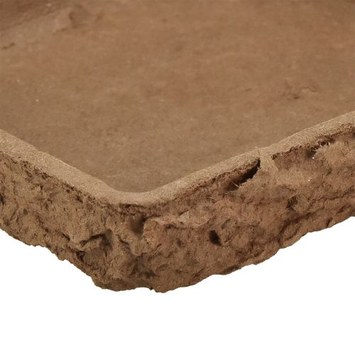 daiktų Oasis Biolit paklotas ½ gėlių putplasčio plyta 13×13×2cm 12 vnt.