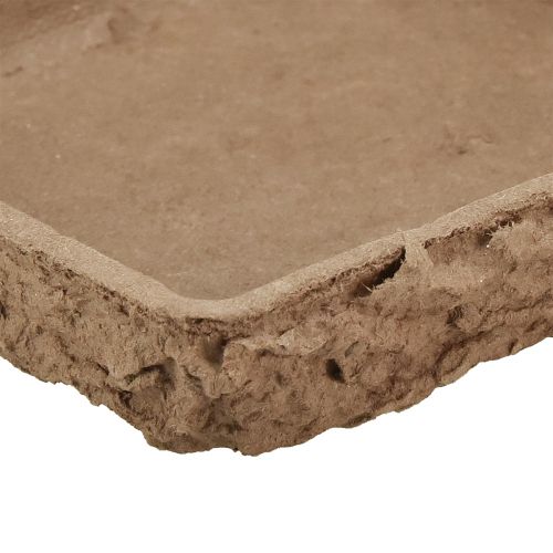 daiktų Oasis Biolit paklotas 2 gėlių putplasčio plytelėms 48×13×2cm 7 vnt.