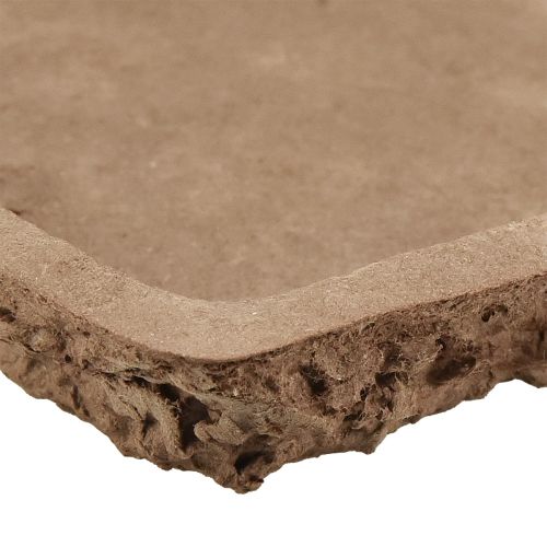 daiktų Oasis Biolit paklotas gėlių putplasčio plytoms 25×14×2cm 11 vnt.