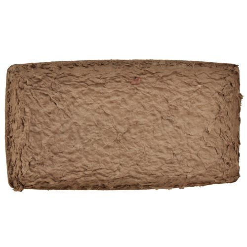 daiktų Oasis Biolit paklotas gėlių putplasčio plytoms 25×14×2cm 11 vnt.