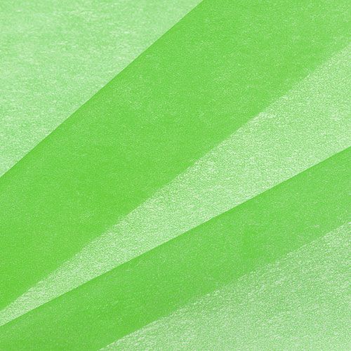 Floristik24 Dekoratyvinė vilna 60cm x 20m žalia