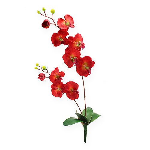 Floristik24 Deco orchidėja raudona 68cm