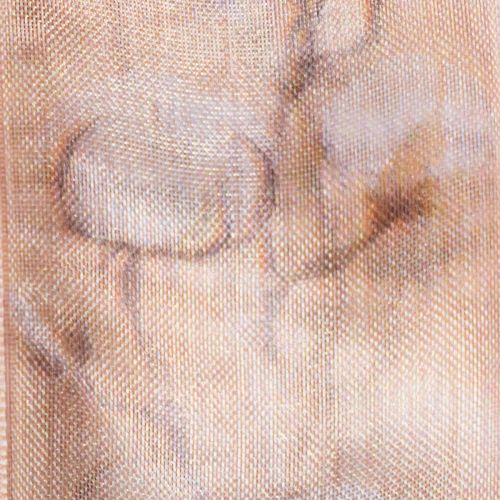 daiktų Organzos juostelė, medvilninės gėlės, dekoratyvinė juostelė, rožinė, 40 mm, 15 m