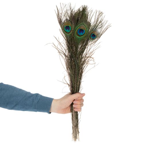 daiktų Povo plunksnos, tikros paukščių plunksnos rankdarbiams ir dekoravimui, 55 cm, 10 vnt.