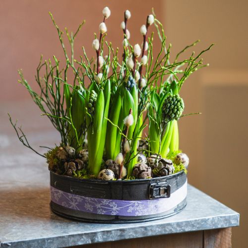 Floristik24 Sodinamoji, dekoratyvinė kepimo skarda, spyruoklinė forma sodinimui, metalinė apdaila Ø24cm H7,5cm