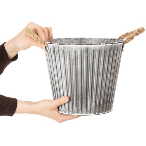 daiktų Augalų vazonas, dekoratyvinis vazonas su rankenomis, metalinis vazonas sodinimui Ø25,5 cm