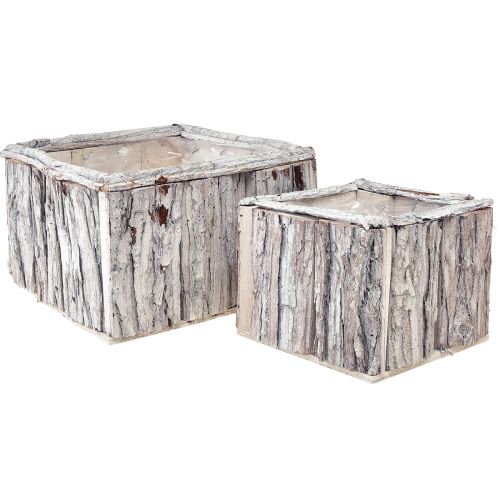 daiktų Augalinės dėžutės mediena su žieve natūraliai balta 17/24cm rinkinys iš 2 vnt