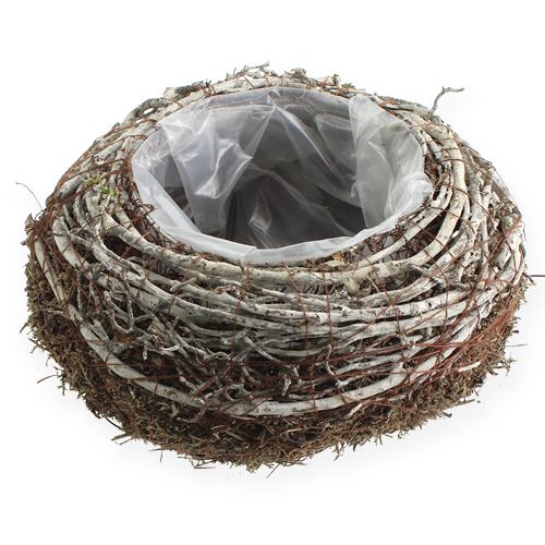 Floristik24 Sodinimo dubuo Ø18cm