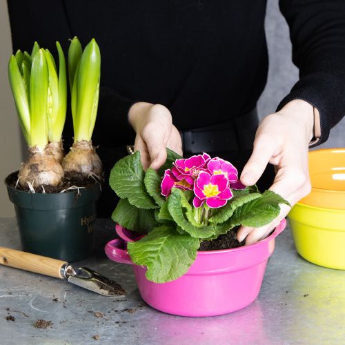 daiktų Metalinis vazonas, originalaus dizaino, skirtas rafinuotoms gyvenamosioms erdvėms ir stilingam dekorui, 17 cm, 3 dalys