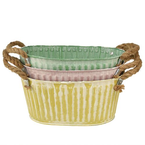 Floristik24 Augalų dubuo ovalus vazonas su rankena geltona/žalia/rožinė 27cm 3vnt